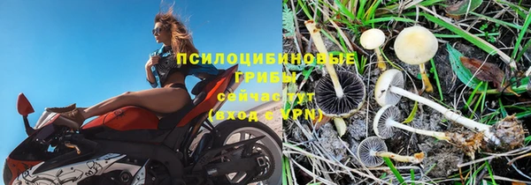 СК Балабаново